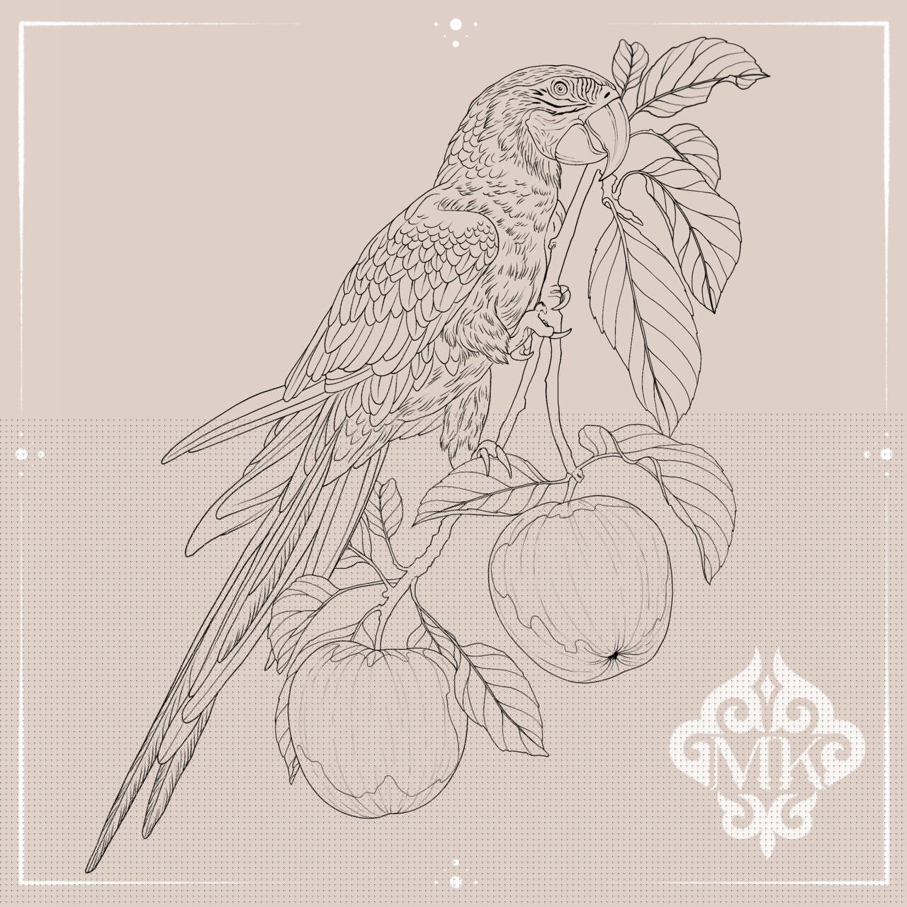 Parrot
