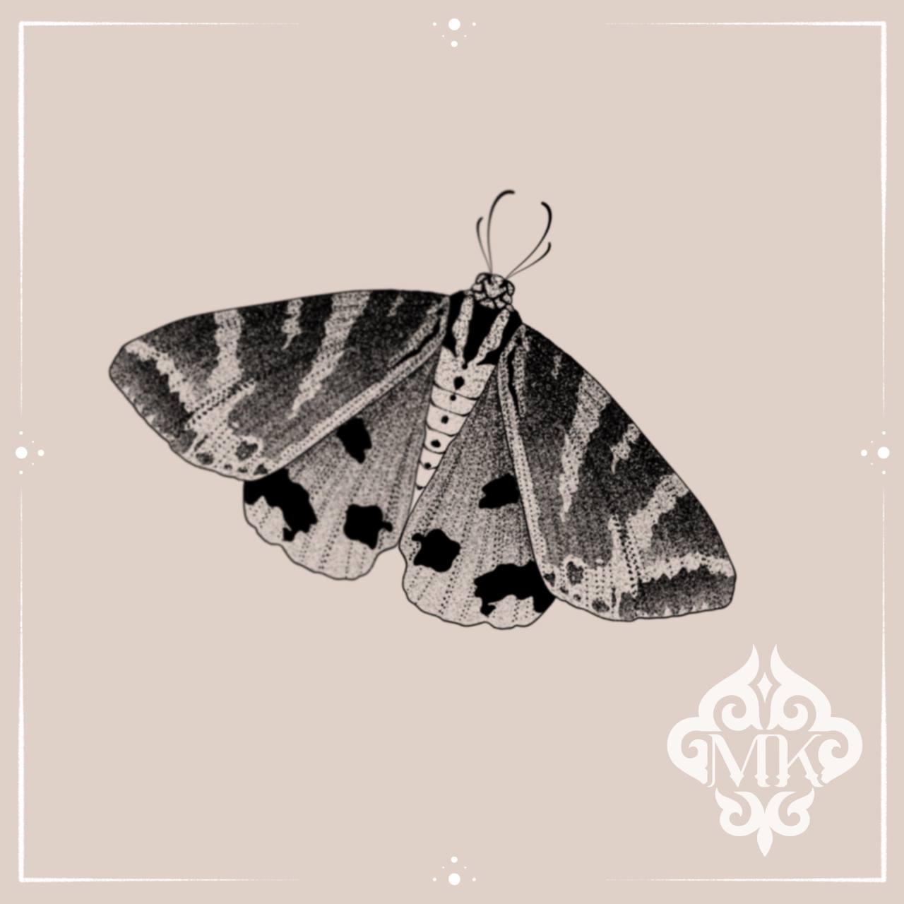 Tiger Moth